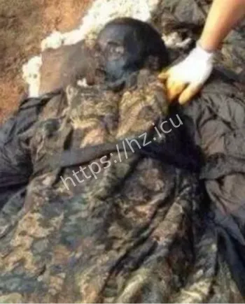 1995年成都僵尸事件